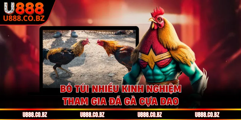 Đá Gà Cựa Dao - Khám Phá Sức Hút Đỉnh Cao Nhất 2026 2 Bỏ túi nhiều kinh nghiệm tham gia đá gà cựa dao